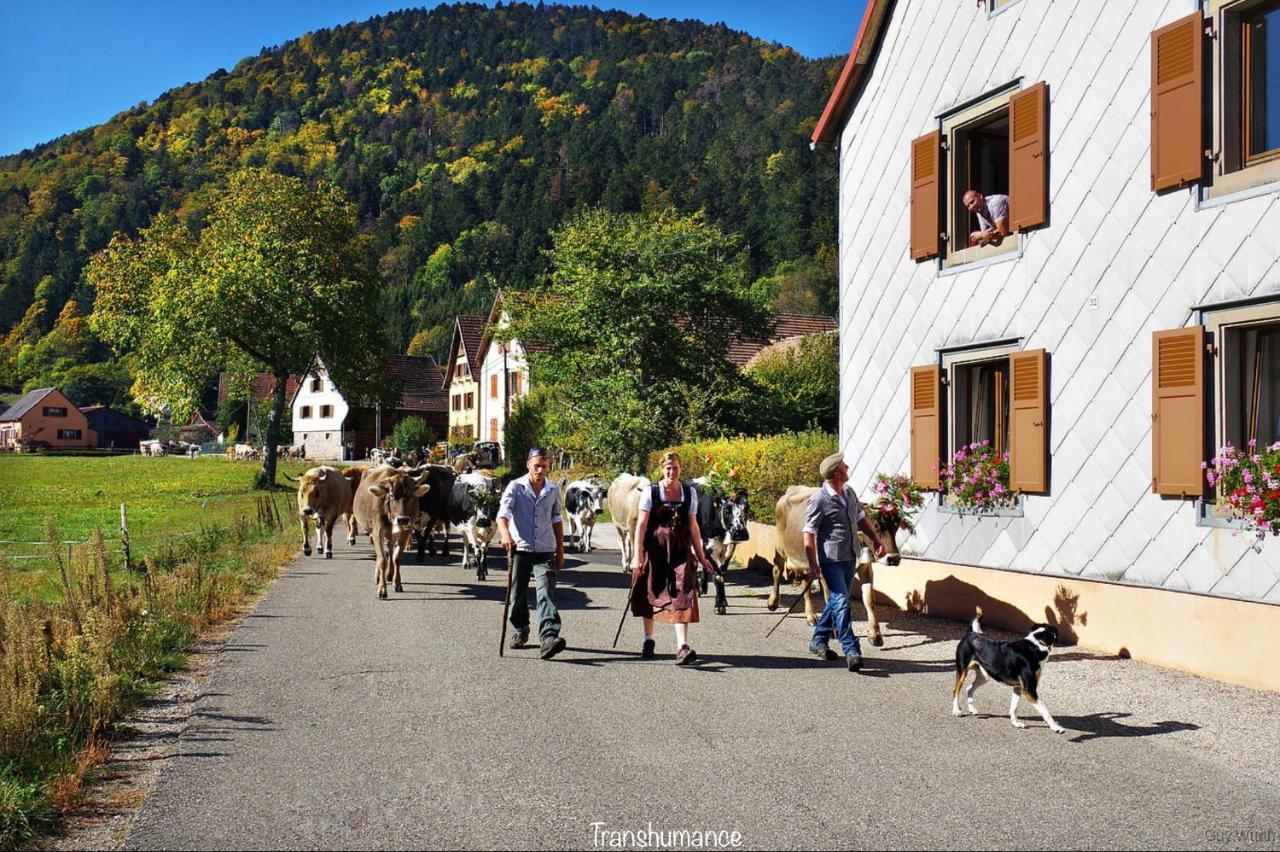 Le Chalet du Silberrain à Osenbach - Luxe, charme et authenticité Villa Exterior foto