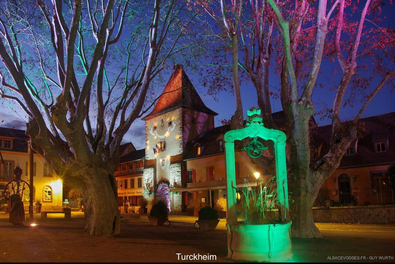 Le Chalet du Silberrain à Osenbach - Luxe, charme et authenticité Villa Exterior foto