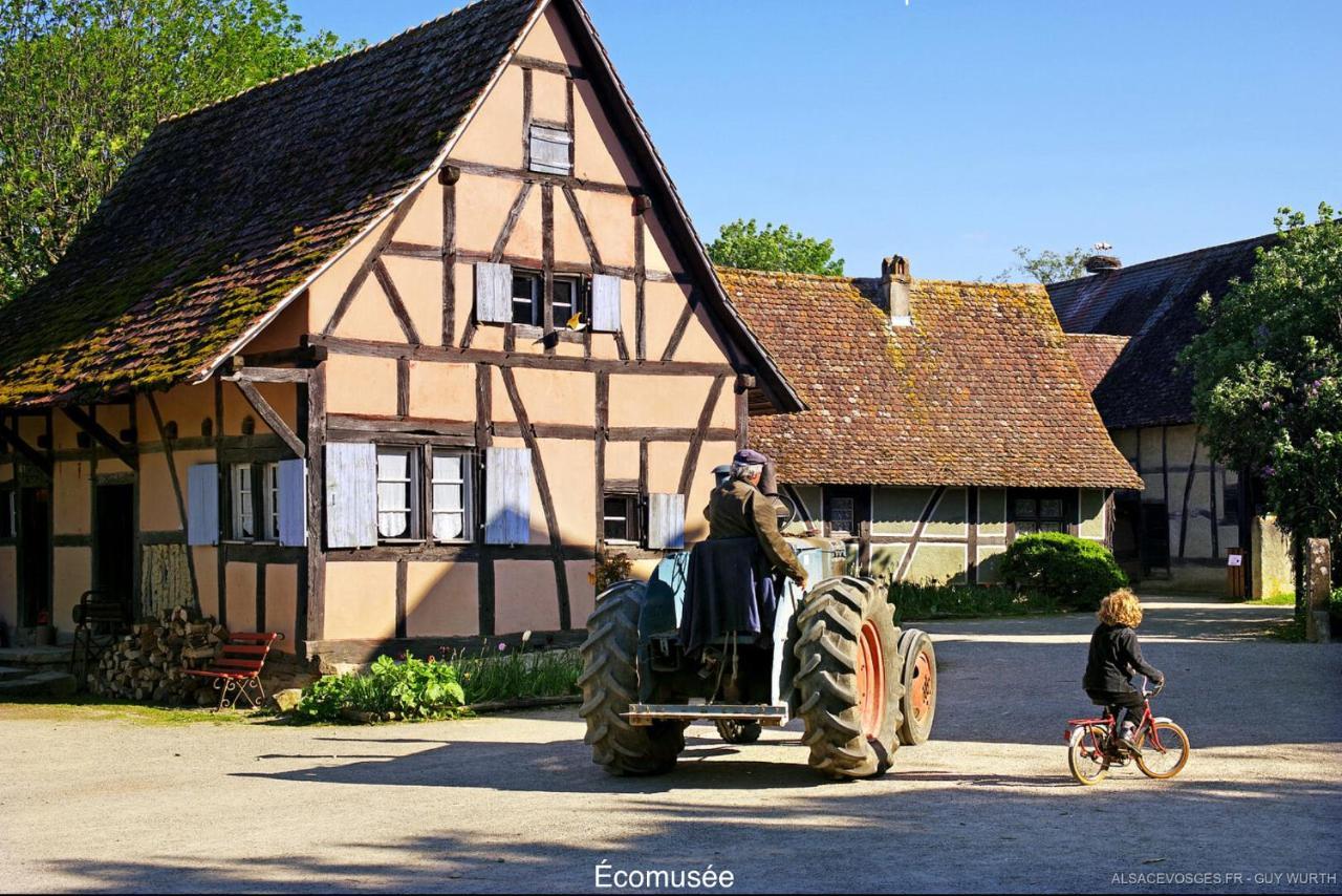 Le Chalet du Silberrain à Osenbach - Luxe, charme et authenticité Villa Exterior foto