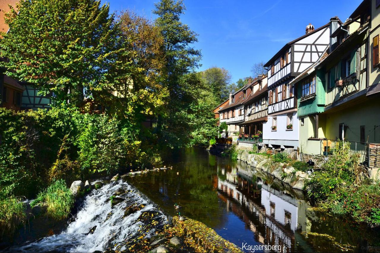 Le Chalet du Silberrain à Osenbach - Luxe, charme et authenticité Villa Exterior foto